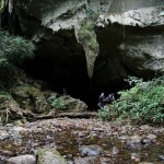 img_5981