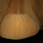img_6040