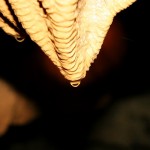 img_6047